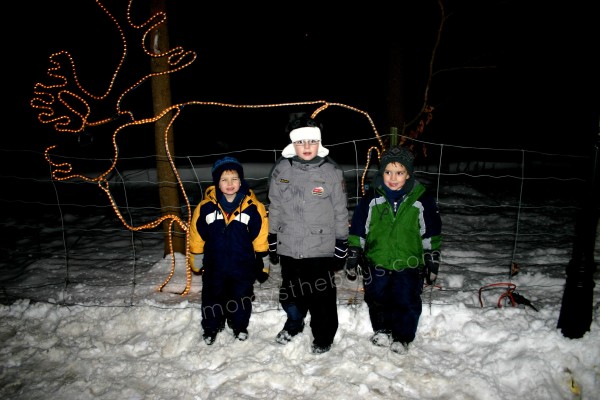 NYE Zoo
