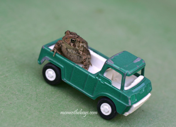 toad truck