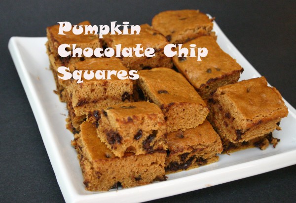 pumpkin chocolate chip squares