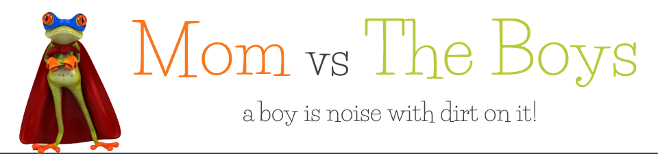 Mom vs the Boys logo