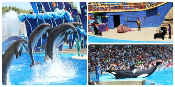 Sea World Shows