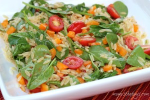 Fire Roasted Tomato-Orzo Salad