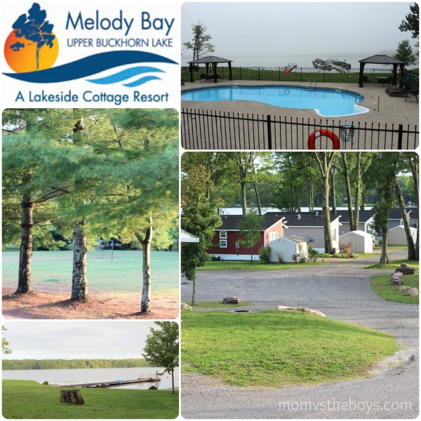 Melody Bay Collage