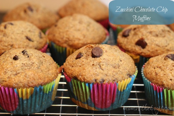 zucchini chocolate chip muffins 