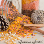 Cinnamon Scented Fall Colored Rice