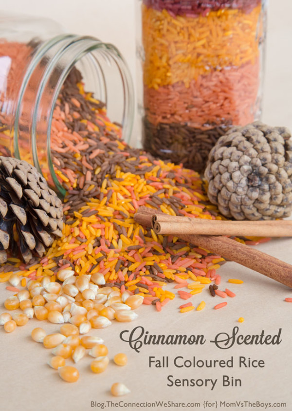 Crafting a Cinnamon Scented Fall Colored Rice Sensory Bin- Simple 4 Step Guide