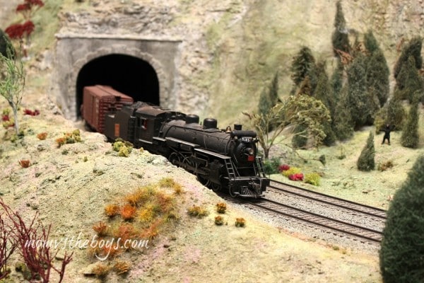 st jacobs aberfoyle model railway