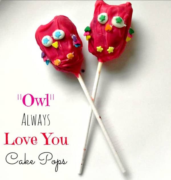 owl always love you
