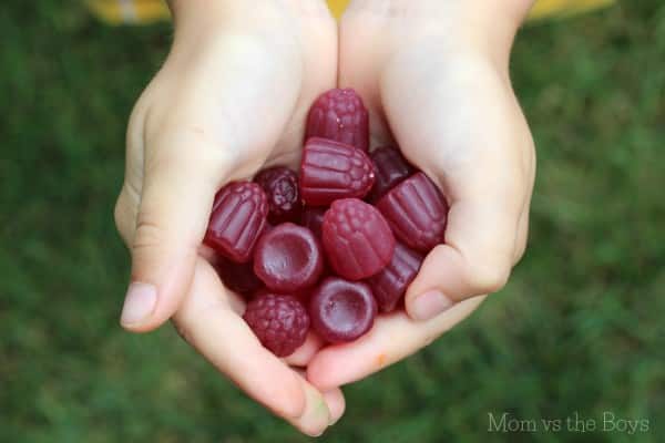 Dare Realfruit berries