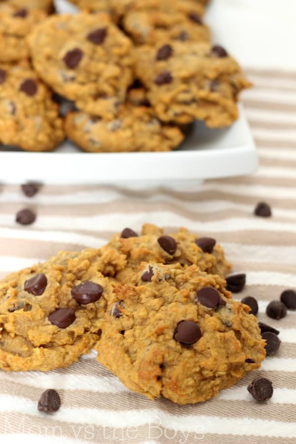 pumpkin oatmeal chocolate chip cookies