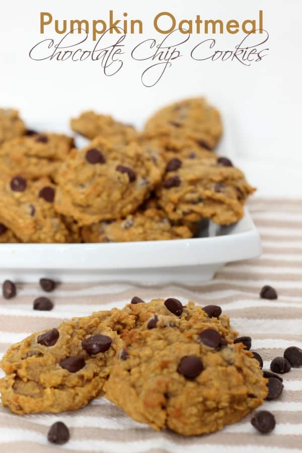 pumpkin oatmeal chocolate chip cookies