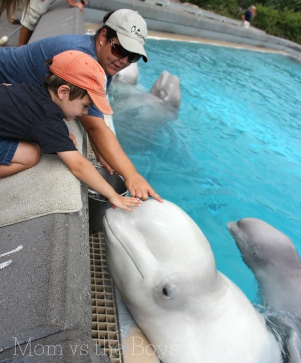 Marineland, Niagara Falls Ontario