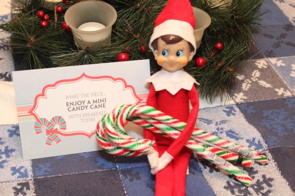 Elf on the Shelf is back again this year