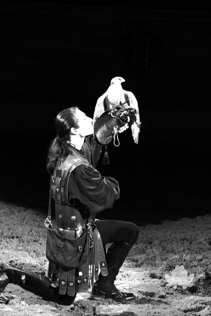 falconer medieval times