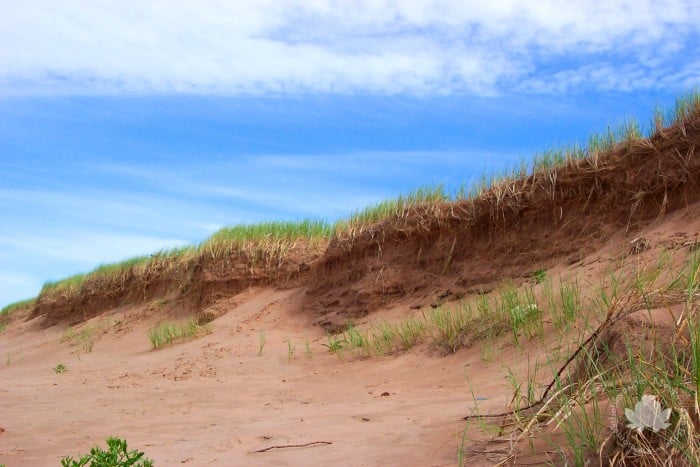 dunes of PEI