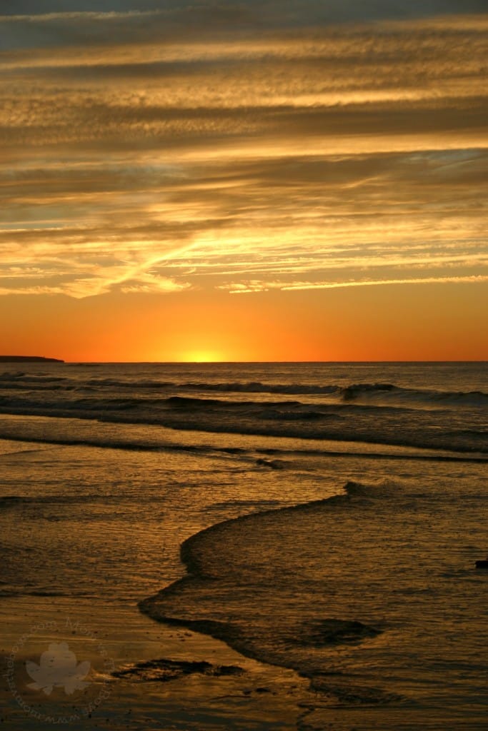 sunset in Prince edward island