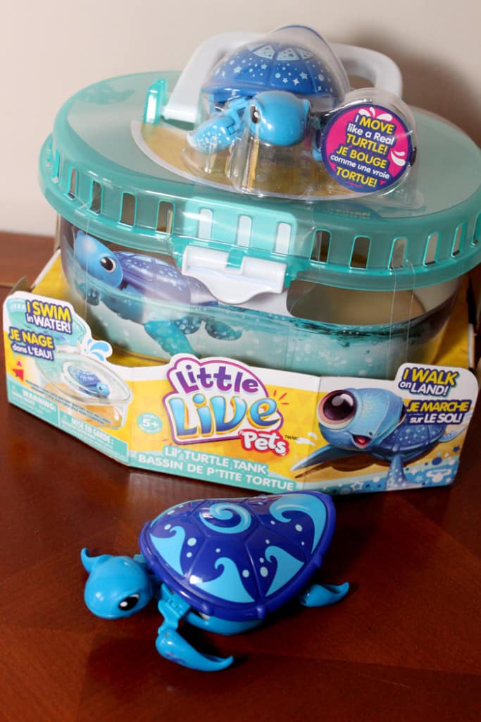 Holiday Gift Ideas - little live pet turtles