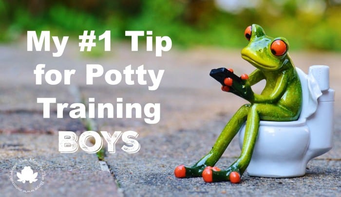 tip for potty training boys