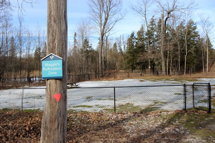 Viamede Resort - off leash dog park