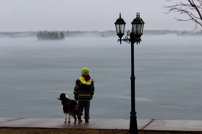 fog lake with boy and dog_edited-1