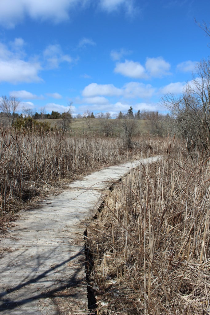  Anne's Spa Walking Trails