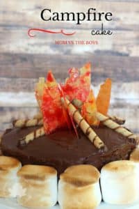 Campfire Cake - Mom vs the Boys