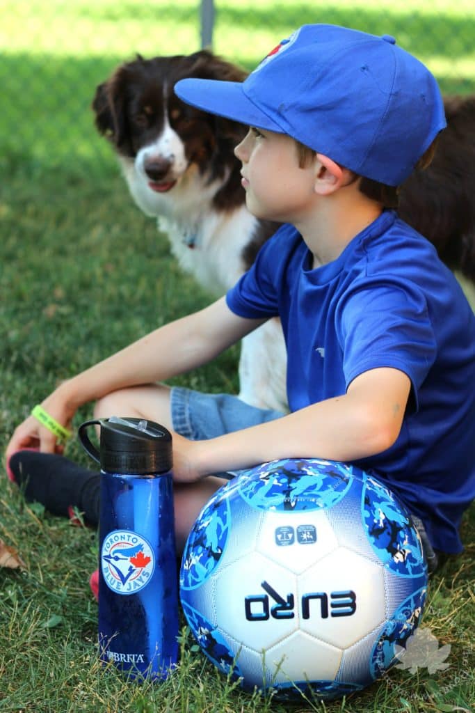 brita blue jays water bottle 