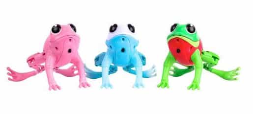 lil-frog-2