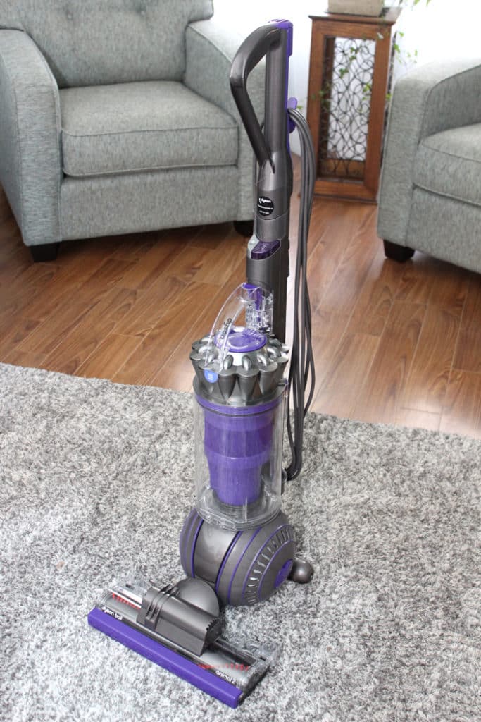 Dyson Big Ball Animal 2 Review