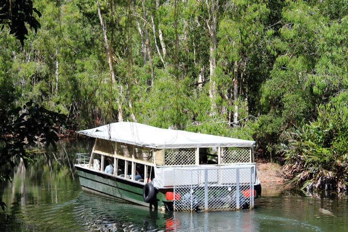 Hartley's lagoon boat tour