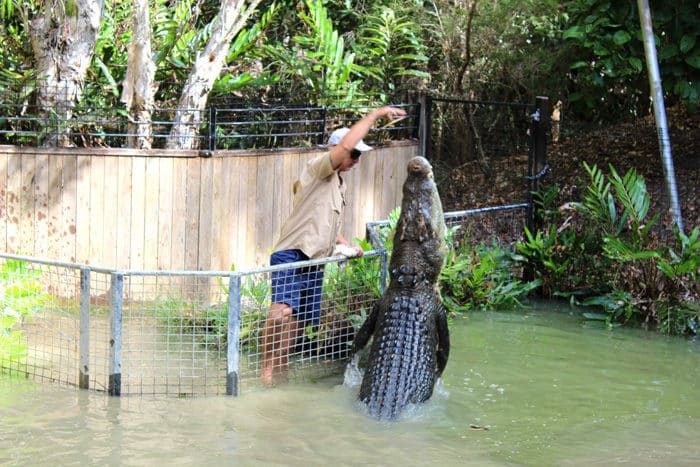 Hartley's Creek Crocodile Farm - Hartley's Crocodile Adventures