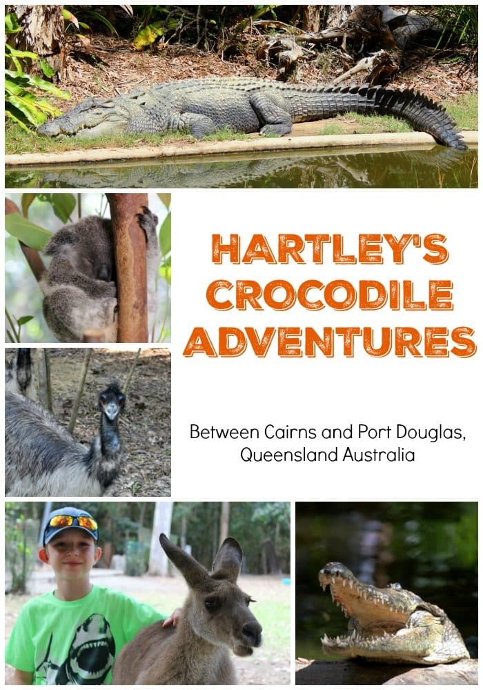 Hartley's Crocodile Adventure - Mom vs the Boys