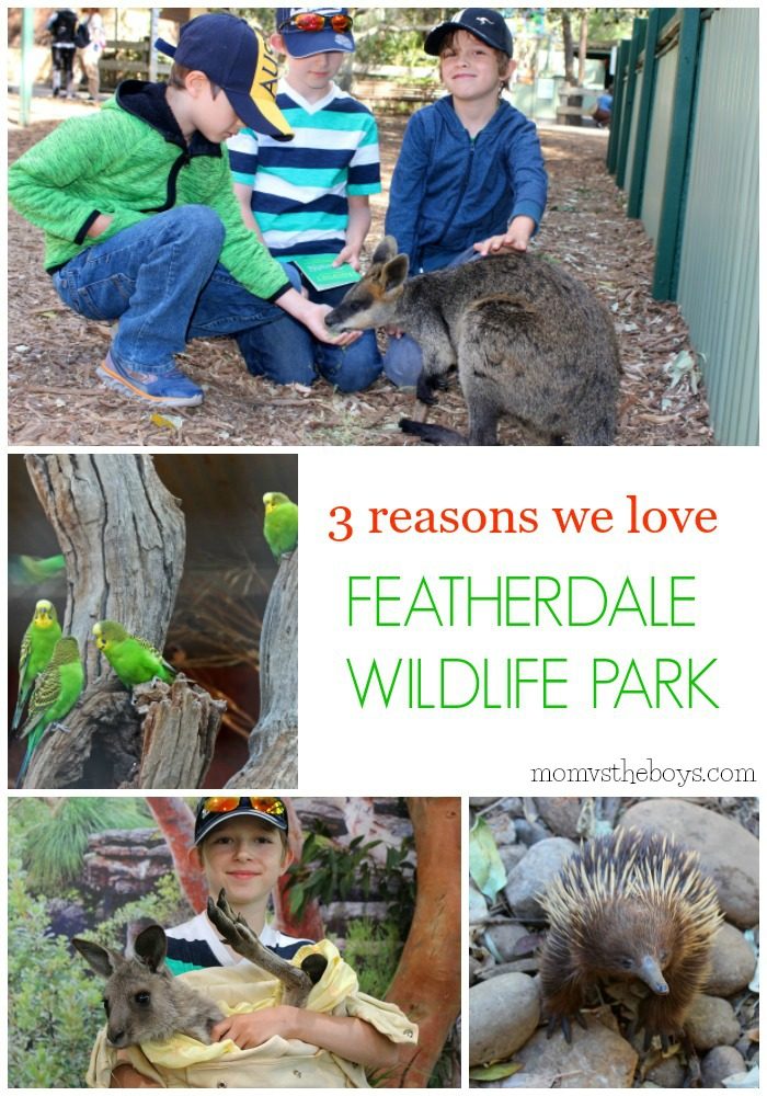 3 Reasons we Love Featherdale Wildlife Park - Mom vs the Boys