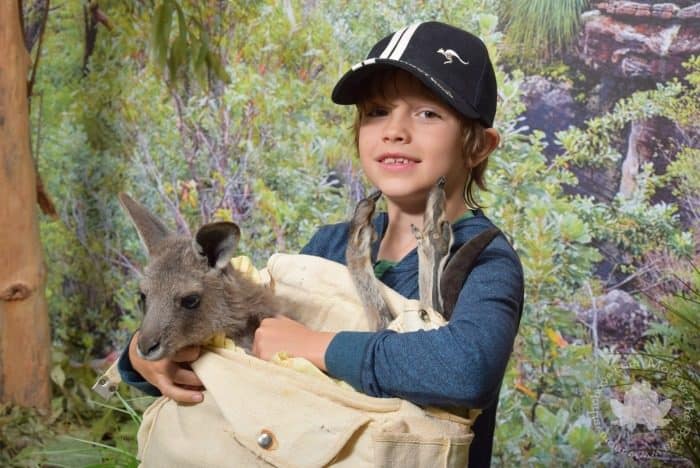 Featherdale Mammal Encounter