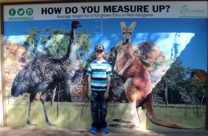 Featherdale Wildlife Park Review