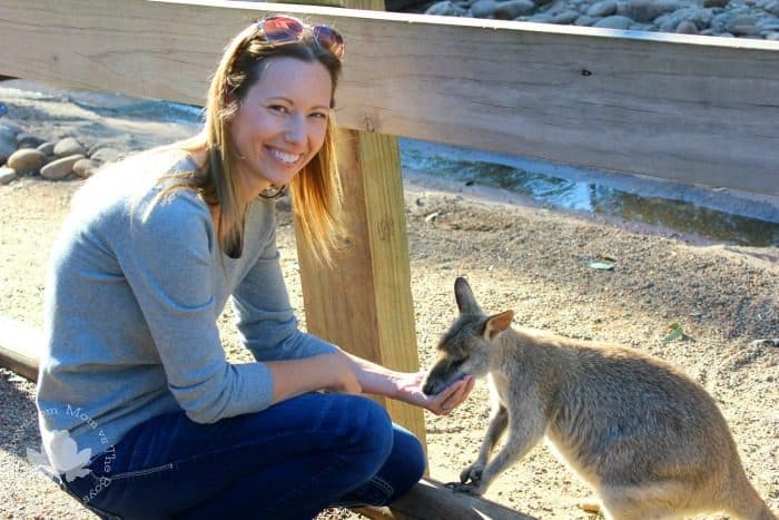 Featherdale Wildlife Park