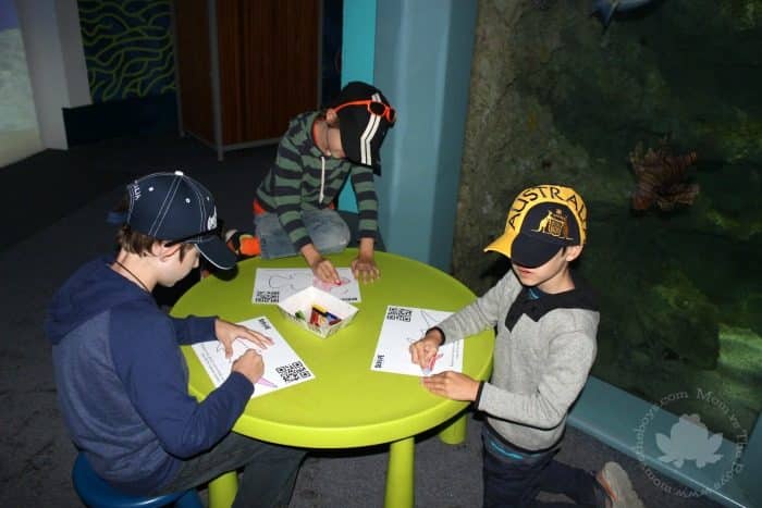 Sydney with kids - Sea Life Aquarium