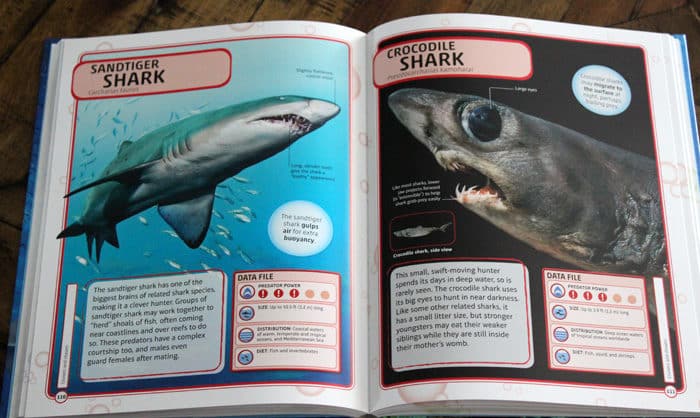 Sharks and Other Deadly Ocean Creatures Visual Encyclopedia