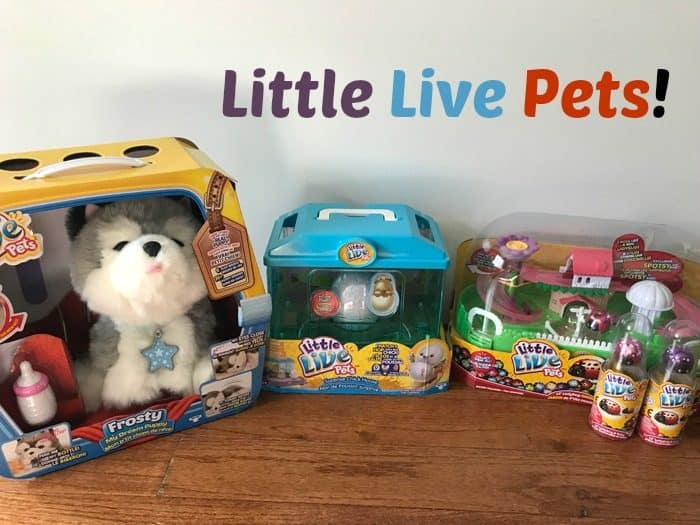 Little live pets puppy frosty best sale