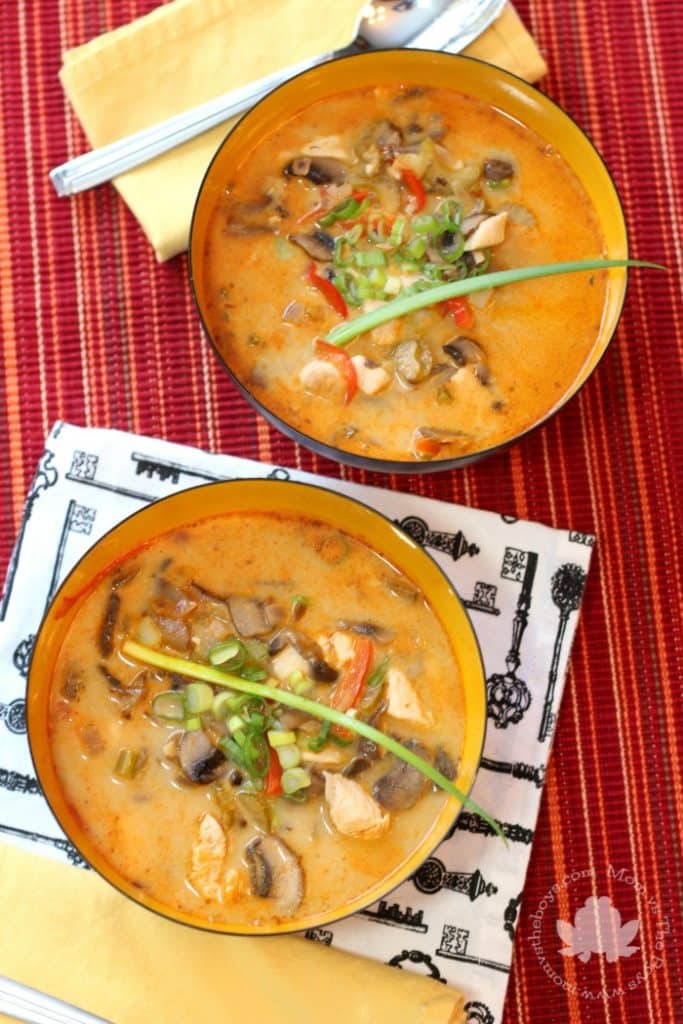 Thai chicken Soup - Mom vs the Boys