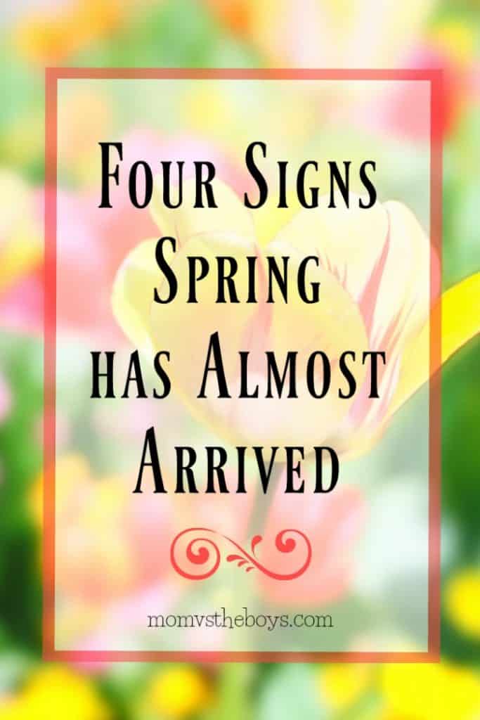 Four Signs Spring has Almost Arrived
