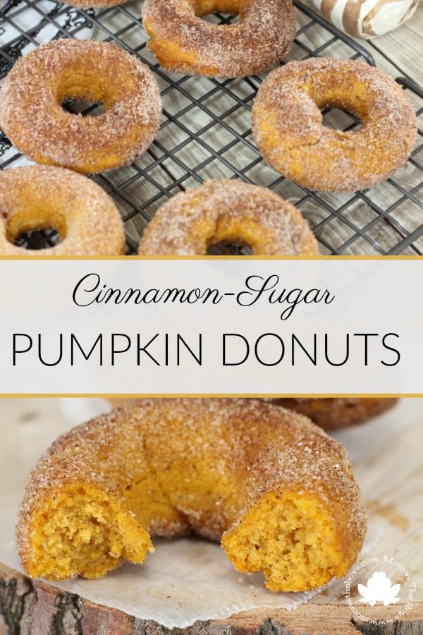 Cinnamon-Sugar Baked Pumpkin Donuts – Mom vs the Boys