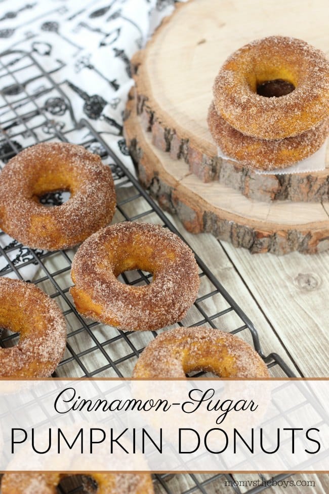 sugared pumpkin donuts