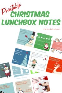 Christmas Lunchbox Jokes for kids