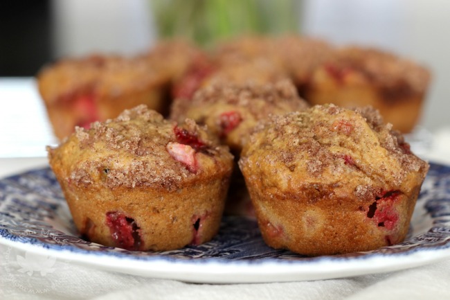 fruit muffins 