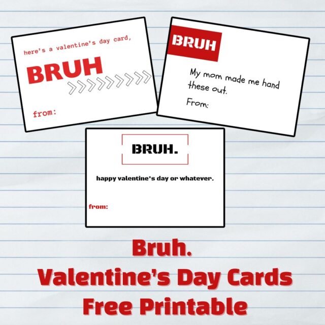 Bruh Valentine's Day Cards – Mom vs the Boys