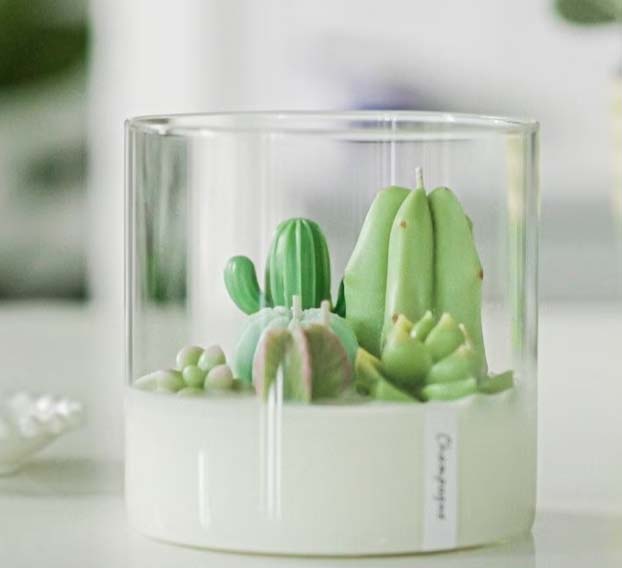plant candle