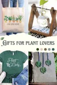 unique gifts for plant lovers
