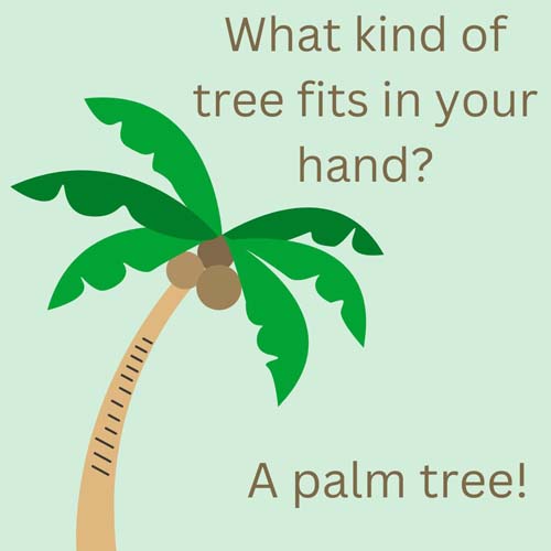 Tree riddle for kids