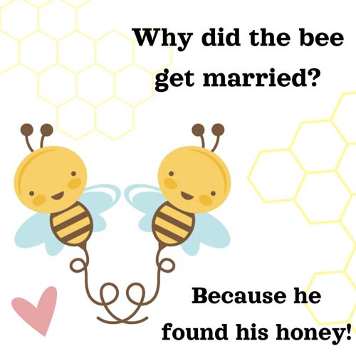 Why did the bee get married? 